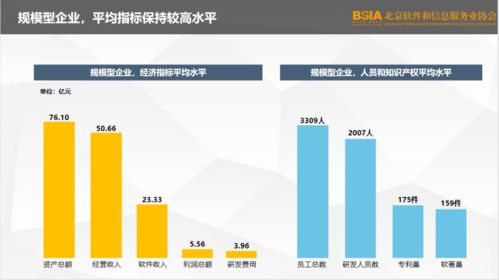 2021北京軟件企業(yè)核心競(jìng)爭(zhēng)力評(píng)價(jià)報(bào)告 發(fā)布