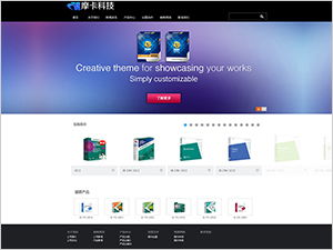 軟件公司網站模板,軟件企業(yè)網站建設